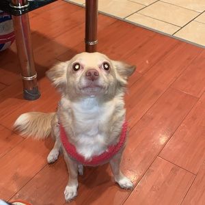 Meet your Posher, Edward